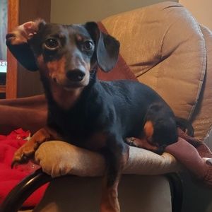 Meet your Posher, Rylee